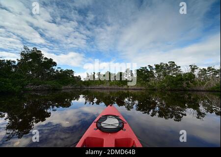 Red kayak in Coot Bay Pond in Everglades National Park, Florida under winter cloudscape reflected in tranquil water. Stock Photo