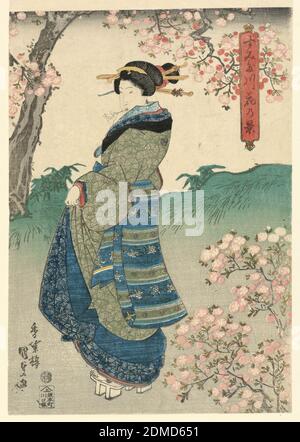 Woman viewing Cherry Blossoms on the Bank of the Sumida River (Sumidagawa hana no kei), Utagawa Kunisada, Japanese, 1786 – 1864, woodblock print on paper, Japan, ca. 1840, Print Stock Photo