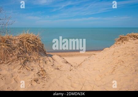 Looking Out to the Lakes Through the Dunes at Indiana Dunes National Park in Indiana Stock Photo