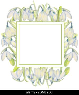 Romantic spring frame with snowdrops on the outer edge on a white isolated background. Watercolor painting. Stock Vector