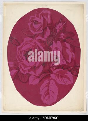 Drawing, Brush and gouache on cream paper, mounted on cream paper, Large roses in oval shape, all in deep fuchsia., France and USA, late 19th century, textile designs, Drawing Stock Photo