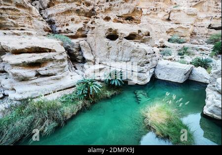 The beautiful Wadi Shab in Oman. Stock Photo