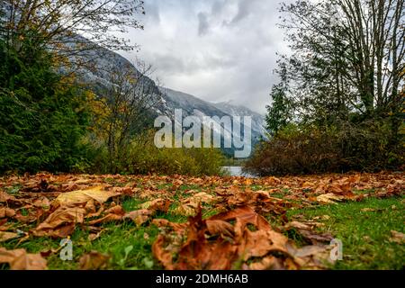 Autumn colored leaves at Silver Lake, in Silver Lake Provincial Park, British Columbia, Canada Stock Photo