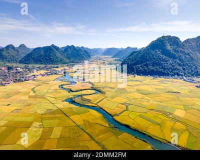 Bac Son valley with yellow rice fields in harvest season in Bac Son district, Lang Son province, Vietnam Stock Photo