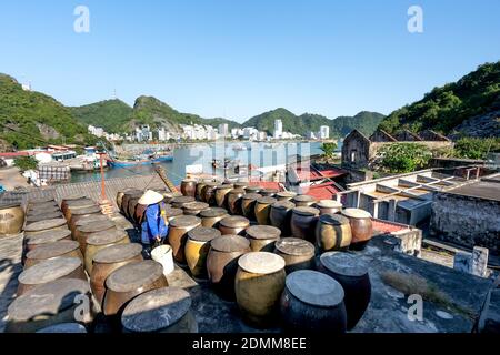 Cat Ba Island, Quang Ninh Province, Vietnam - November 13, 2020: Big production facilities fish sauce in Vietnam. Fishermen, Cat Ba Bay, profession of Stock Photo