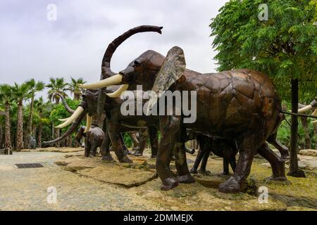 Carvalhal Bombarral, Portugal - 13 December 2020: the African animal park in the buddha Eden Gardens in Portugal Stock Photo