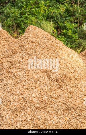 A pile of wood chippings to be used as a garden mulch Stock Photo