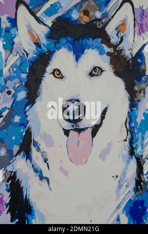 Colorful picture of dog breed husky painted with paint on canvas. Can be printed on shirts, bags, posters, invitations, cards, phone cases, pillows. P Stock Photo