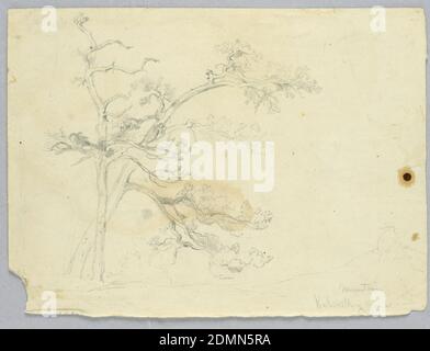 Study of Two Pines, Catskill Mountains, Daniel Huntington, American, 1816–1906, Graphite on cream wove paper, Study of two pine trees, at left. Other tree trunks, left, and man on a rise, right, lightly sketched., New York, USA, ca. 1840, nature studies, Drawing Stock Photo