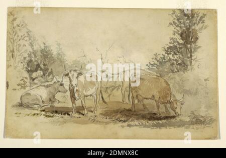 Cows in a Pasture, Winslow Homer, American, 1836–1910, Brush and black and brown wash, graphite on white wove paper, Four cows (one on the ground, one facing the viewer and two grazing) in a grassy pasture with trees on either side., USA, 1858, landscapes, Drawing Stock Photo