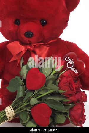 Teddy bear clearance ki pics