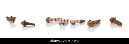 dried cloves macro isolated on white background Stock Photo