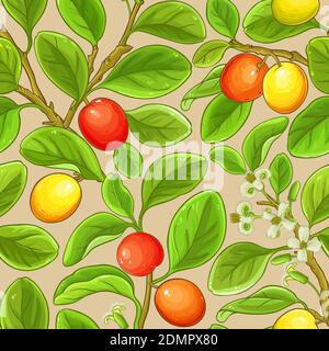 ximenia vector pattern Stock Vector