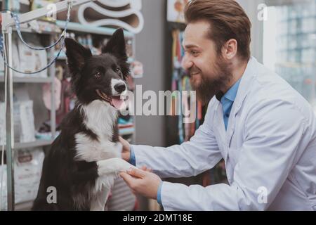 Beautiful black dog getting examined by professional veterinarian at the animals hospital. Cheerful male vet doctor playing with adorable puppy Stock Photo