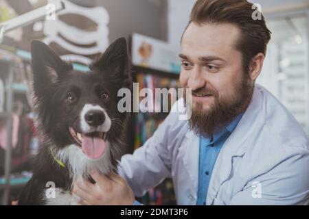 Close up of a cheerful vet doctor smiling at cute happy healthy dog after medical checkup. Adorable puppy being examined by professional veterinarian Stock Photo