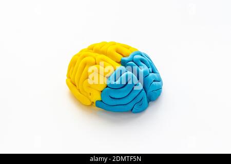Human brain. Model of clay. Mental health background Stock Photo