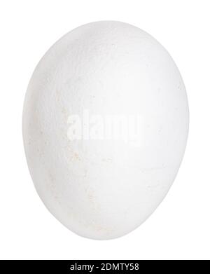 natural white raw chicken egg isolated on white background Stock Photo