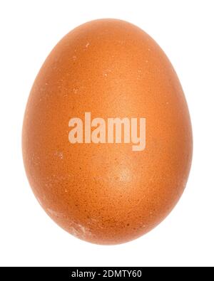 natural brown raw chicken egg isolated on white background Stock Photo