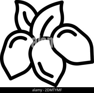 Bio jojoba nuts icon. Outline bio jojoba nuts vector icon for web design isolated on white background Stock Vector