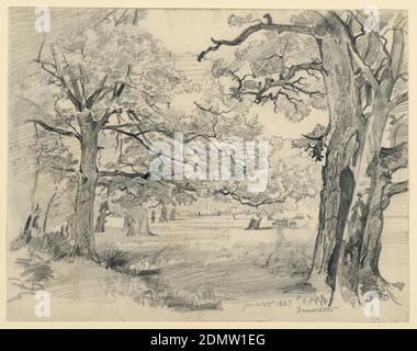 Landscape Darmstadt Sketch Of A Clearing In The Woods With Large Trees Framing The Composition Stock Photo Alamy