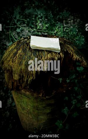 A vertical shot of an old vintage paper sketchbook with blank pages lying on a wood surface in a mystical forest Stock Photo