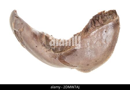 boiled beef tongue isolated on white background Stock Photo