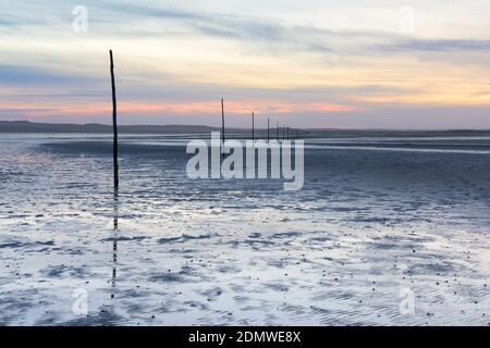 Sunset over the posts which mark the way across the causeway from the mainland to Holy Island, Northumberland Stock Photo