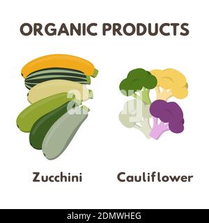 Organic products vector illustration. Yellow and green zucchini set. Yellow, white and red cauliflower, green broccoli. Stock Vector