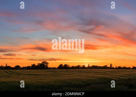 Summer sunset over fields Stapleford, Cambridge, UK Stock Photo