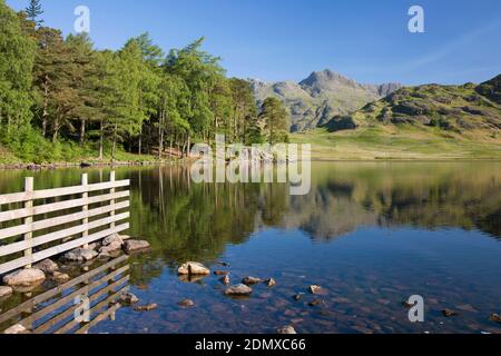 Great Langdale, Cumbria, England. View across tranquil Blea Tarn to the Langdale Pikes, early morning.