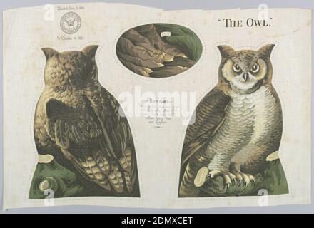 The Owl, Medium: cotton Technique: printed by engraved roller on plain weave, Printed panel, entitled 'The Owl' with front, back and bottom views of a perched owl in shades of brown, green and yellow, meant to be cut and sewn into a stuffed toy. Sewing instructions are printed in the center. 'Arnold Print Works, North Adams, MA' is printed on the upper left corner, North Adams, Massachusetts, USA, 1892, printed, dyed & painted textiles, Textile, Textile Stock Photo