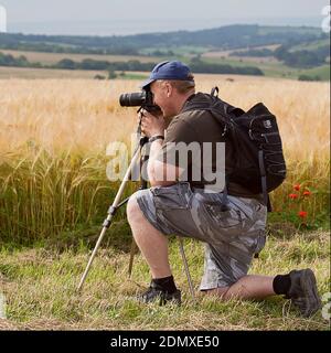 Photographer male kneeling by a field of barley looking through his camera mounted on a tripod. Square format landscape with hills in the background. Stock Photo