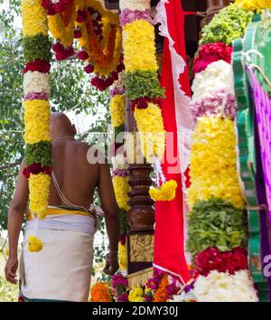 Anonymous Brahmin man around flowers decoration ornaments celebrating Dasara Festival in Mysore, India Stock Photo