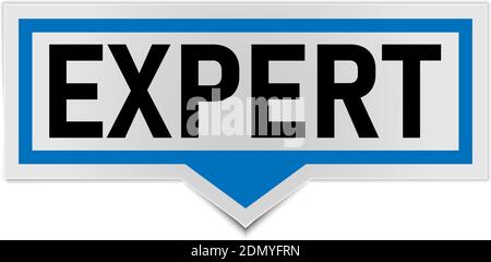 blue expert banner. expert speech bubble label. Stock Vector