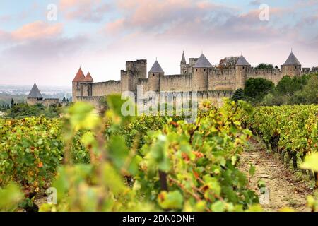 Overview of the medieval city of Carcassonne (south of France) with vineyards in autumn Stock Photo