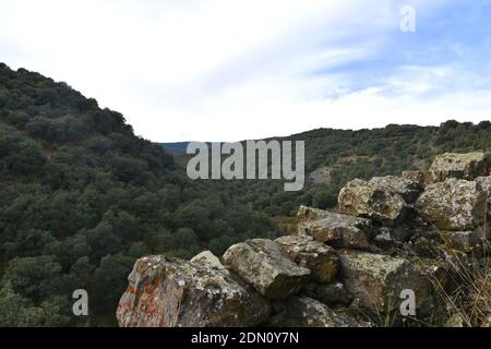 Dry stone wall in the village of Valdevigas overlooking a ravine full of holm oaks. Stock Photo