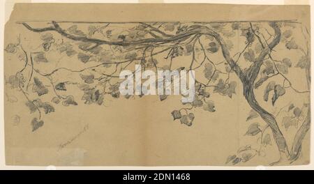 Project for a Decorative Design, Walter Shirlaw, American, b. Scotland, 1838–1909, Graphite on paper, A right part of a framing is shown. A vine stem with twigs and leaves, possibly a grape vine., USA, 1875–80, nature studies, Drawing Stock Photo