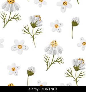 Seamless pattern background with daisy flowers. Vector chamomile kid illustration with white flower. Cute, hand drawn, floral plant. Stock Vector