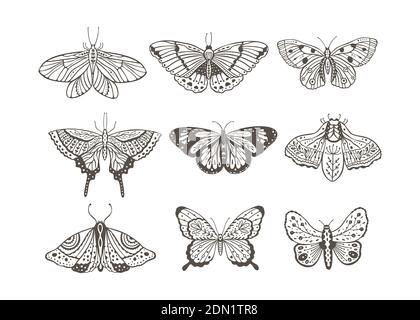 Boho vintage vector art design with bohemian butterfly. Isolated insect icon set in simple style, hand drawn illustration ornate collection, black on a white background. Stock Vector