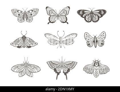 Boho vintage vector art design with bohemian butterfly. Isolated insect icon set in simple style, hand drawn illustration ornate collection, black on a white background. Stock Vector