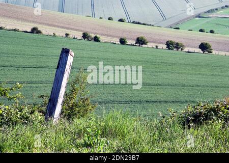 Old wooden post near fields on South Downs in Sussex Stock Photo