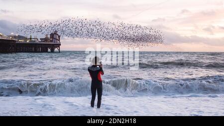 Brighton UK 17th December 2020 - A photographer in a wetsuit captures the starling murmuration by Brighton Palace Pier at the end of a bright day on the South Coast . The city of Brighton and Hove has been kept in coronavirus Tier Two restrictions in England after an announcement  earlier today by the Health Secretary Matt Hancock : Credit Simon Dack / Alamy Live News Stock Photo