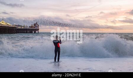 Brighton UK 17th December 2020 - A photographer in a wetsuit  captures the starling murmuration by Brighton Palace Pier at the end of a bright day on the South Coast . The city of Brighton and Hove has been kept in coronavirus Tier Two restrictions in England after an announcement  earlier today by the Health Secretary Matt Hancock : Credit Simon Dack / Alamy Live News Stock Photo