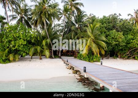 Wooden pier leading to tropical island with lush palm trees and white sany beach, Maldives. Stock Photo