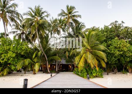 Wooden jetty leading to tropical island with lush palm trees and white sany beach, Maldives. Stock Photo