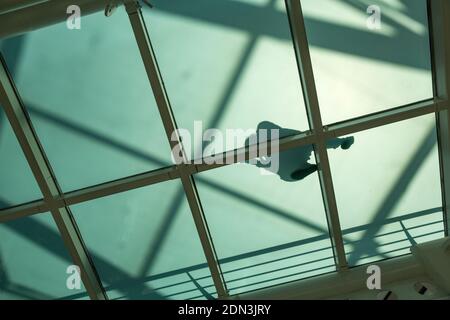 View from underneath at shadow of a person walking on a glass bottom walkway in shopping mall, Lisbon, Portugal Stock Photo