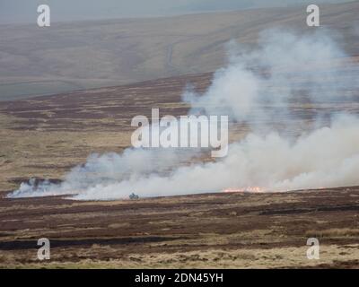 Image of controlled burning of moorland heather to assist and encourage new growth in areas sometimes used for grouse shoots Stock Photo