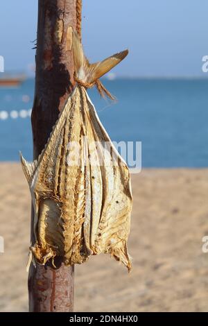 A dried fish. Drying was one of the best method to preserve foods in old times. Stock Photo