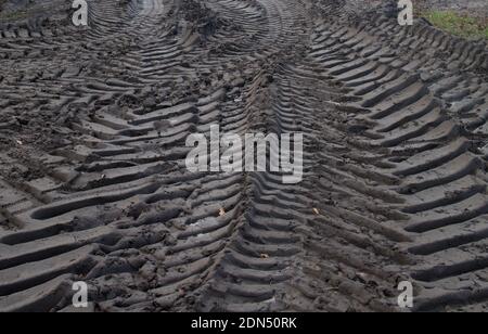 After the harvest, tire tracks of heavy machinery in mud Stock Photo