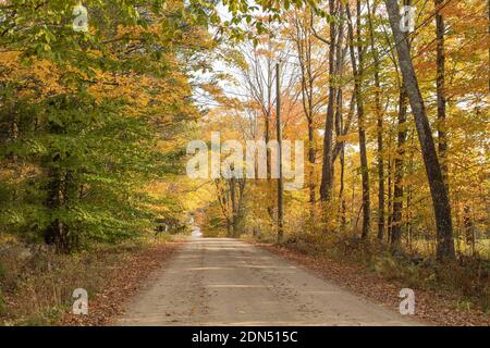 Scenes like this are numerous in northern New Hampshire one of New England's 6 states. October is beautiful here. This road leads in Center Effingham. Stock Photo
